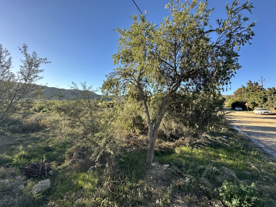 0 Bedroom Property for Sale in Barrydale Western Cape